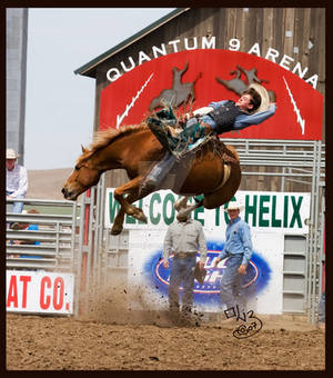 Helix Rodeo- The Quantum 9