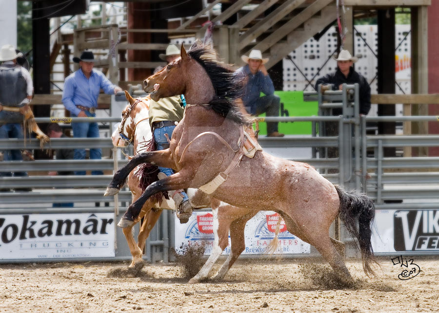 Thunderbird Rodeo: Defiance by sorrelstang on DeviantArt