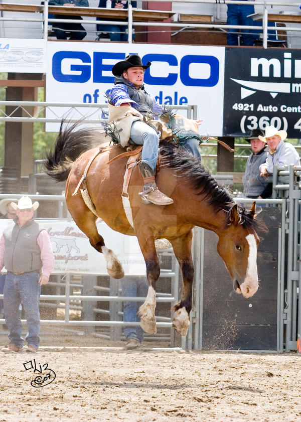 Thunderbird Rodeo: Flight by sorrelstang on DeviantArt