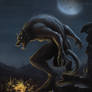 Werewolf Attack (Old version)