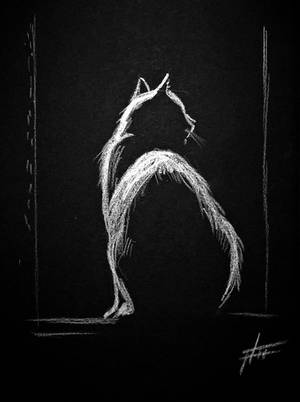 Cat by ArtistHanna Cat by ArtistHanna