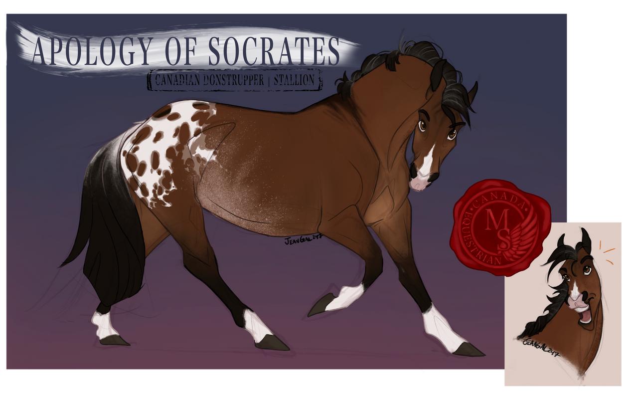 Apology of Socrates | Donstrupper Stud by JeanGal247 on DeviantArt