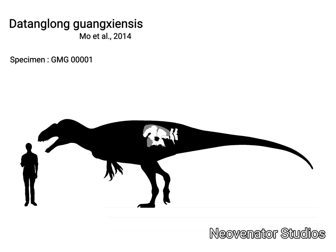 Datanglong Size Datanglong Skeletal (Remake) by neoventorstudi3282 on DeviantArt