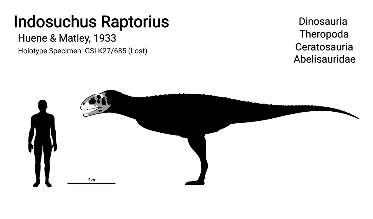 Indosuchus Raptorius Indosuchus Raptorius Skeletal V2 by neoventorstudi3282 on DeviantArt