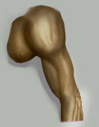 Arm study