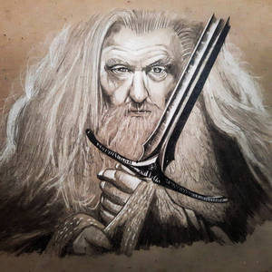 Gandalf the Gray