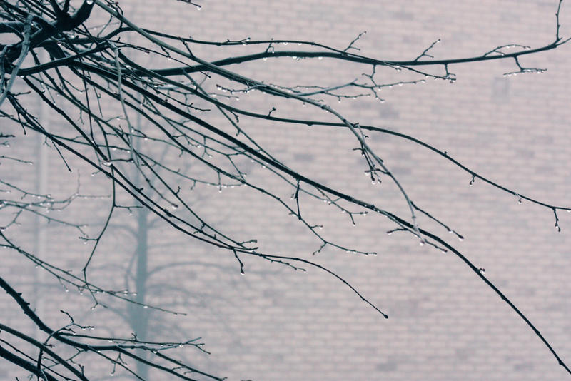 december rain by snapshott on DeviantArt
