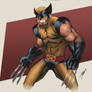 Wolverine