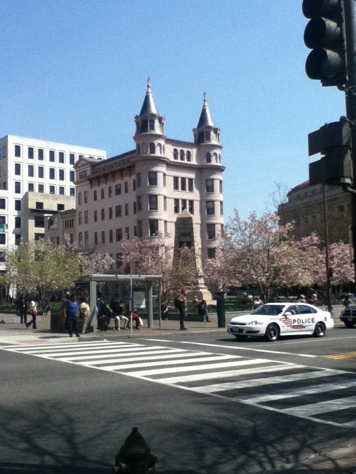 Pink Building With Pink Trees