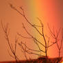 Rainbow 2