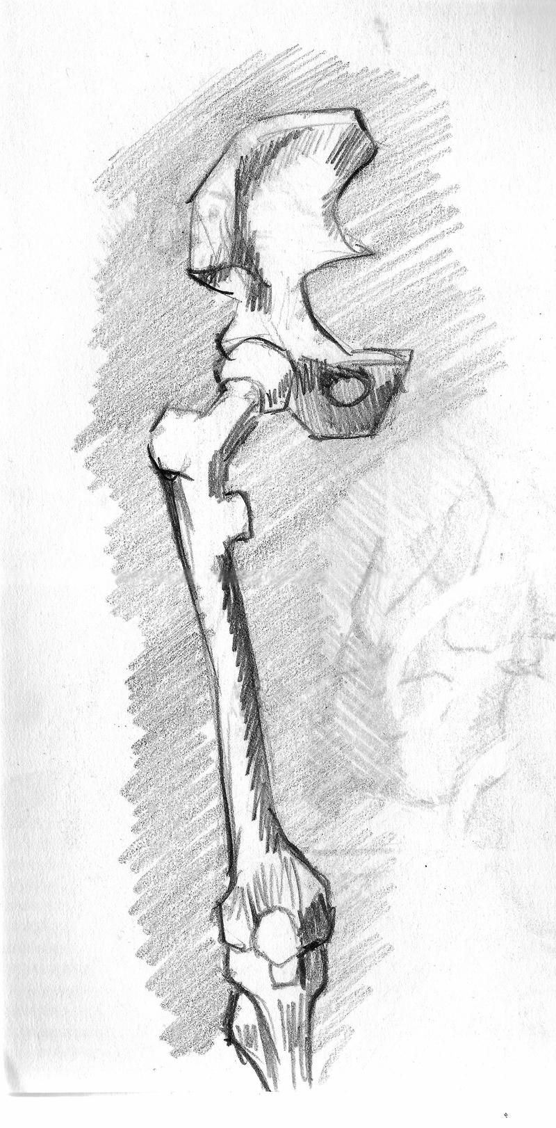 Hip Bone and Thigh by feureau on DeviantArt