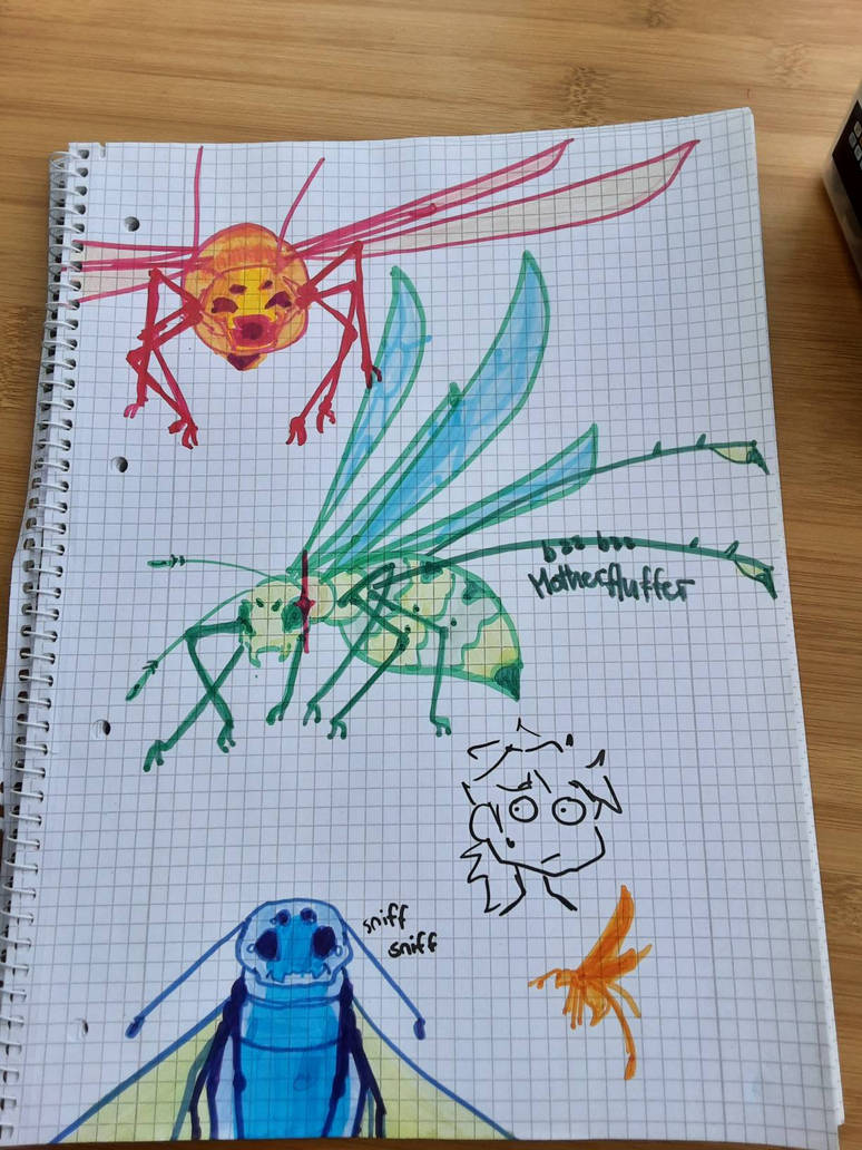 Some insect doodle by Itriowei on DeviantArt