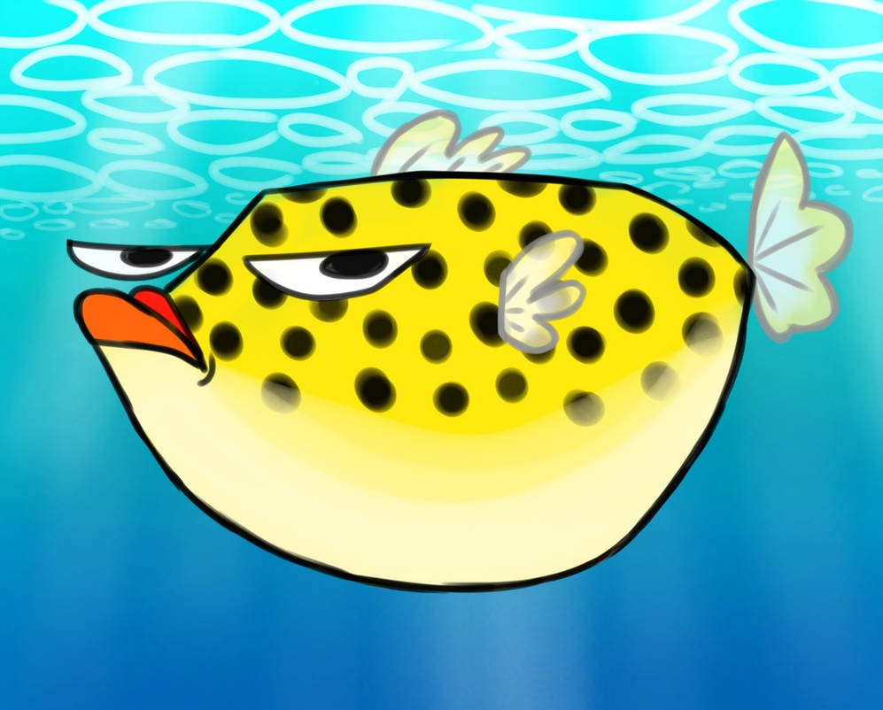 Ugrumpy Fish Grumpy Fish by TheFireMermaid on DeviantArt