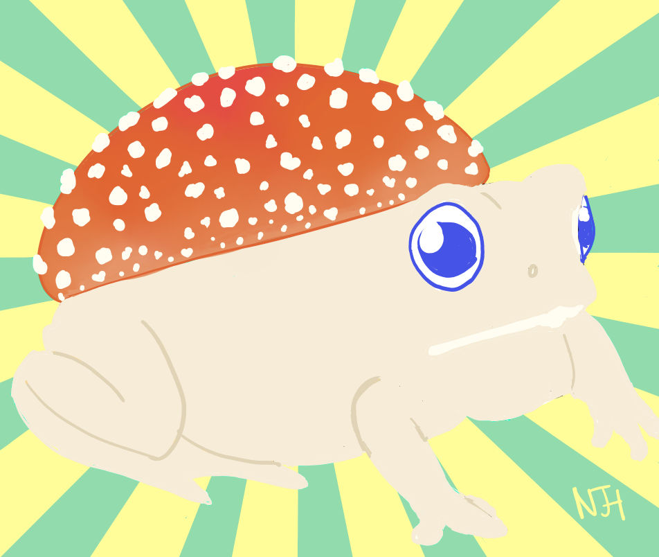 Toadstool Toad Image by Awesomehawk321 on DeviantArt