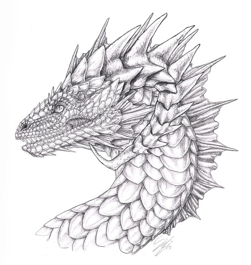 Just a Dragon Profile .Shaded.