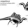 Spinosaurus skeletal