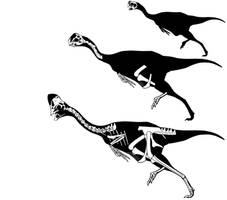 Nanxiong oviraptorids