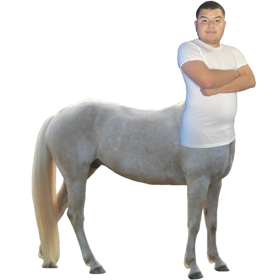 Gabriel The Centaur Boy