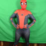Spiderman 008