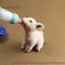 Little Piglet Drinking Bottle Minaiture OOAK