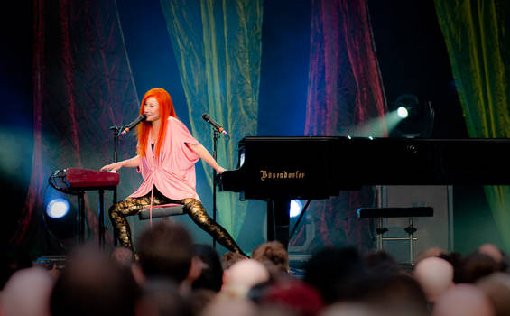 Tori Amos Dublin Iveagh 2