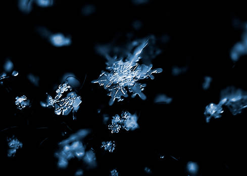 Snowflake 01