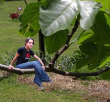 Relaxing in the Bushes v2