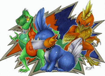 Hoenn Starters 