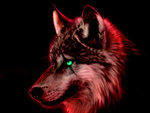 Scarred Wolf