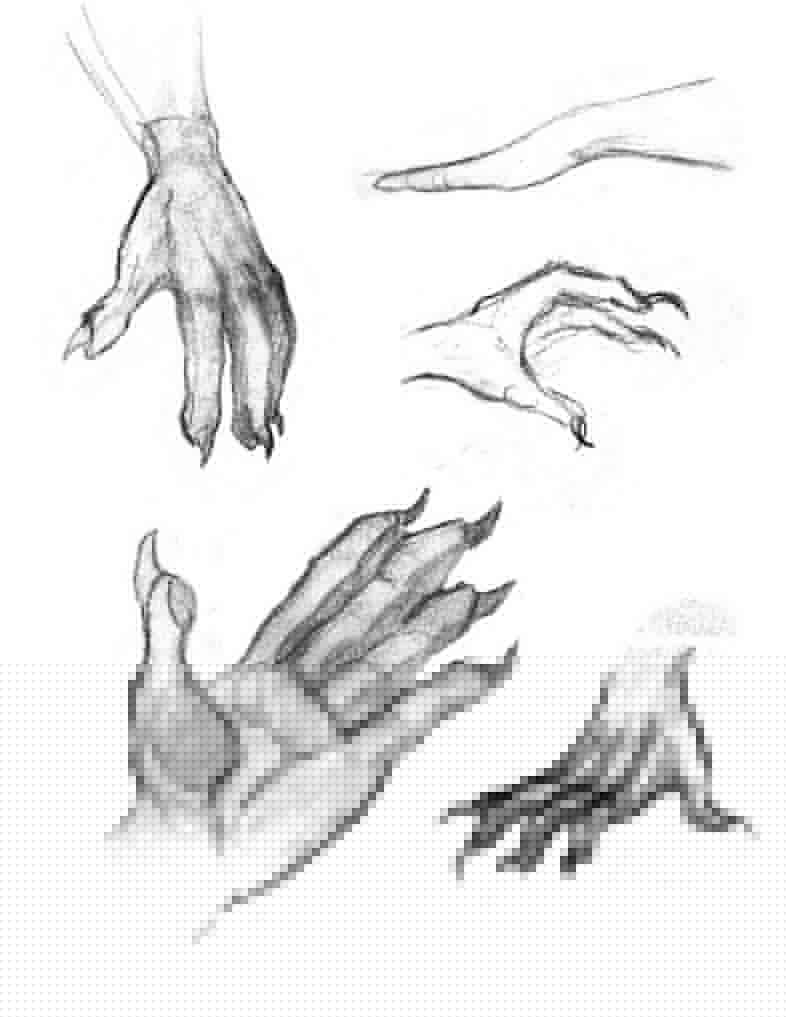 Werewolf Hands by DeviantWerewolf on DeviantArt
