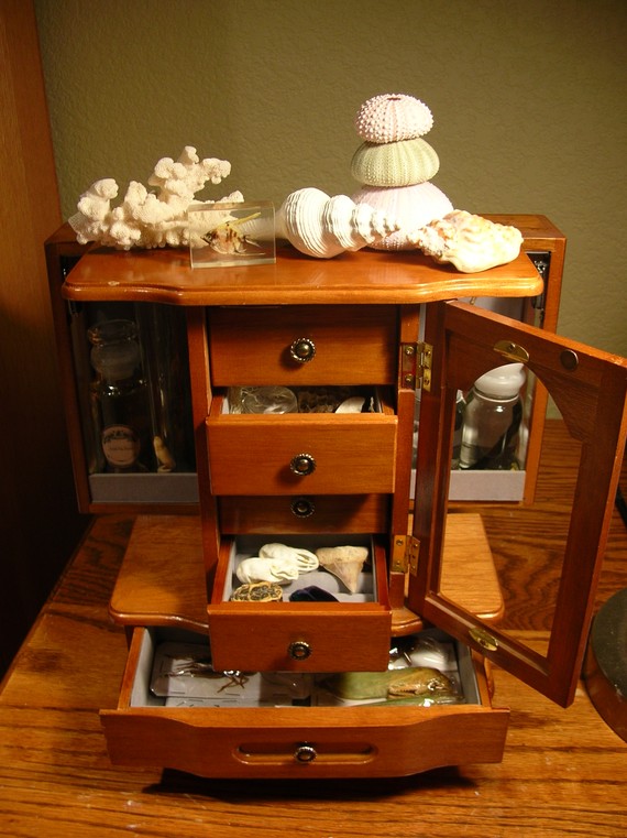 Cabinet of curiosities no. 5