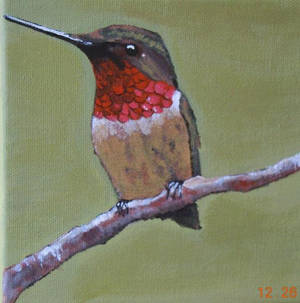 The Hummingbird