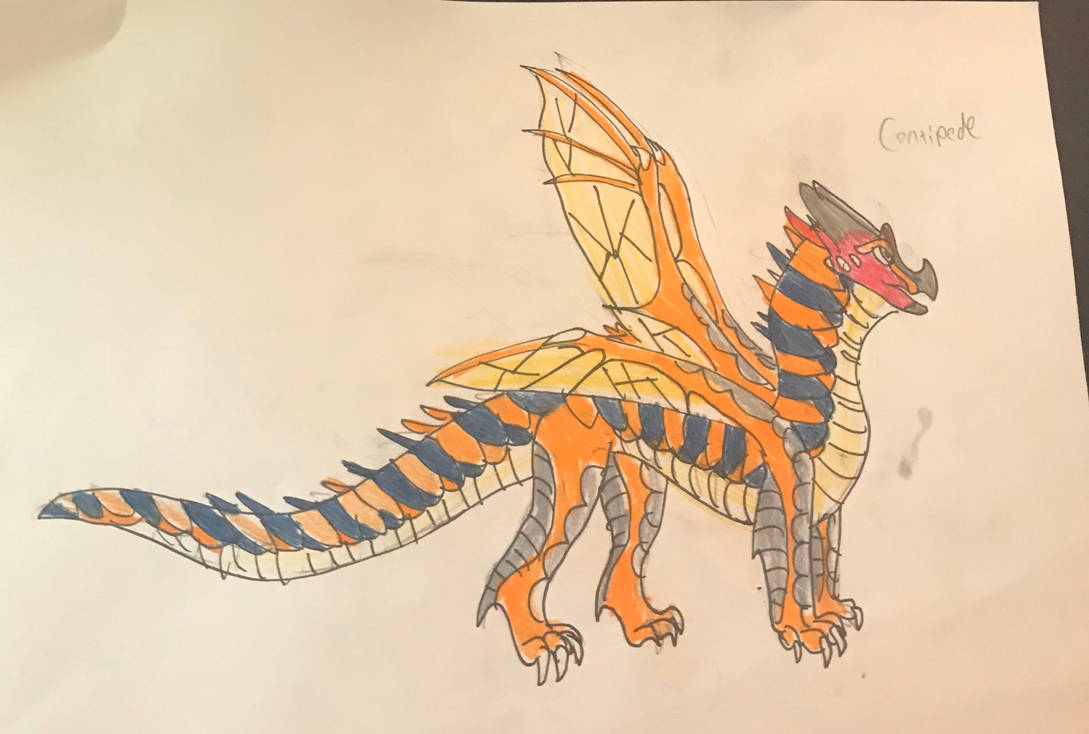 Centipede The HiveWing Dragonet By Serpenticular On DeviantArt centipede-the-hivewing-dragonet-by-serpenticular-on-deviantart