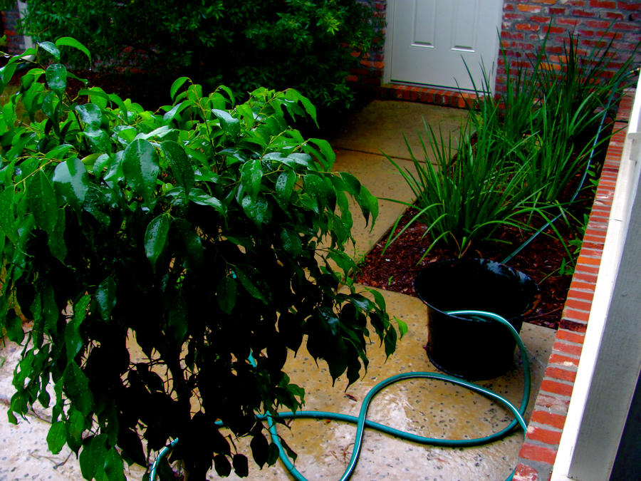 Random back porch by xxnovaxstarxx on DeviantArt