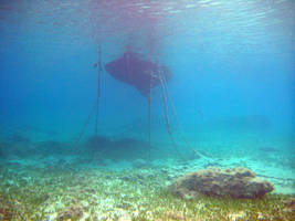 At Anchor