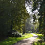 Biddulph Grange Gardens