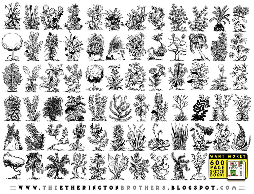 EtheringtonBrothers on X: Our feature artist/reference today is this BEAUTIFUL set of CHARACTER DESIGN ITERATIONS, by the talented @kimmy_arts! These wonderful drawings are not only an AMAZINGLY inspirational ref set, but also