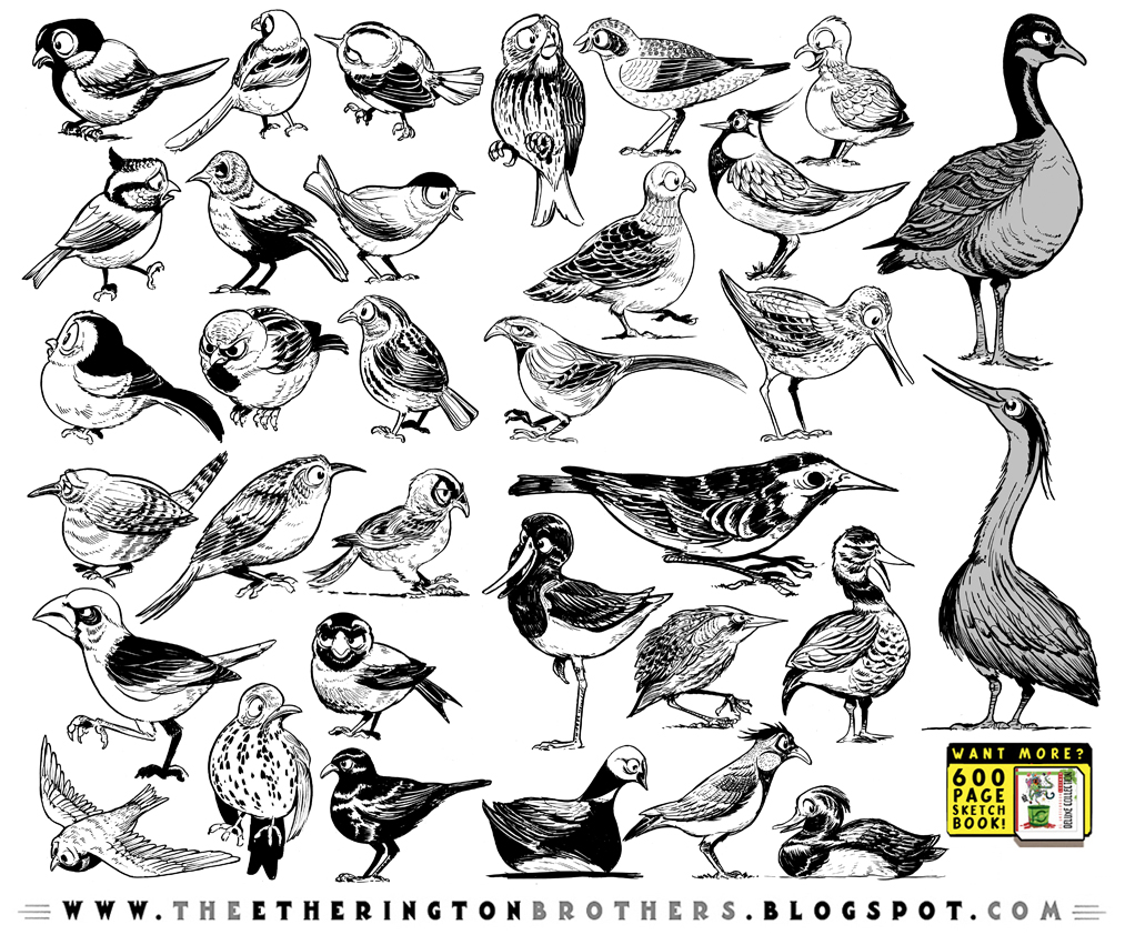 33 Bird Designs