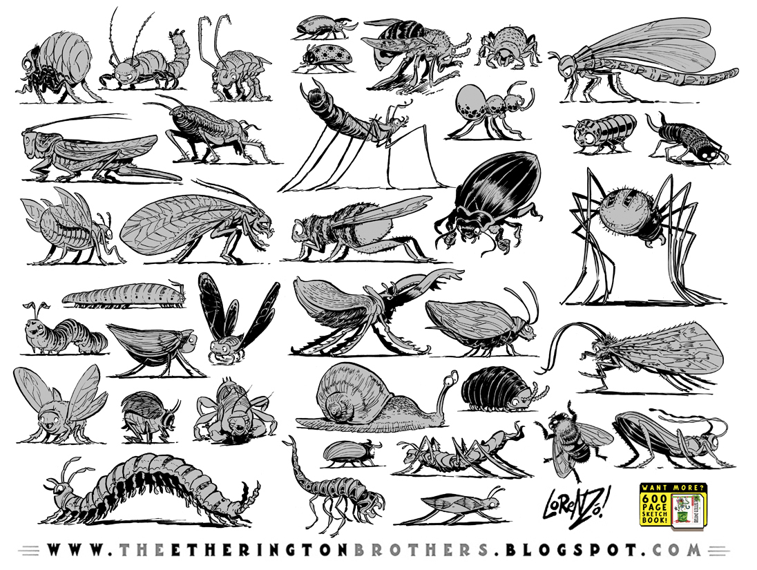 All Insects List Deviantart 38 Insects, Bugs and Creepy-Crawlies by EtheringtonBrothers on DeviantArt