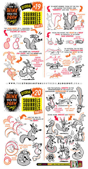 How to Draw SQUIRRELS RODENTS tutorial