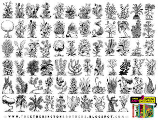 70 PLANT, FLOWER and TREE REFERENCES!