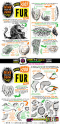 How to draw FUR tutorial for #LEARNUARY!