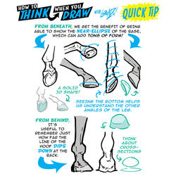 How to THINK when you draw HOOVES QUICK TIP!