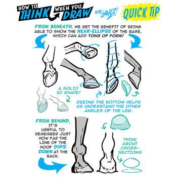 How to THINK when you draw HOOVES QUICK TIP!