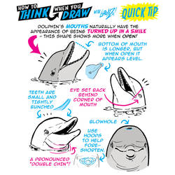 How to THINK when you draw DOLPHINS QUICK TIP!