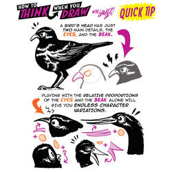 How to THINK when you draw BIRD HEADS QUICK TIP!