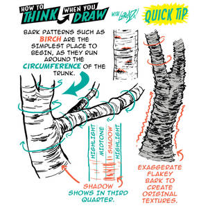 How to THINK when you draw TREE BARK Quick Tip!