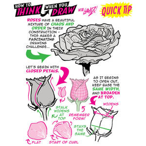 How to THINK when you draw ROSES QUICK TIP!