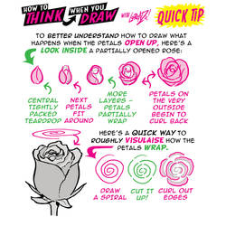 How to THINK when you draw ROSES QUICK TIP!
