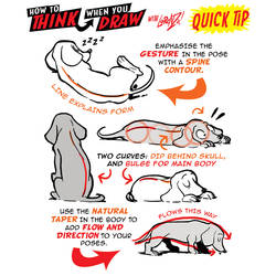 How to THINK when you draw DOGS QUICK TIP!